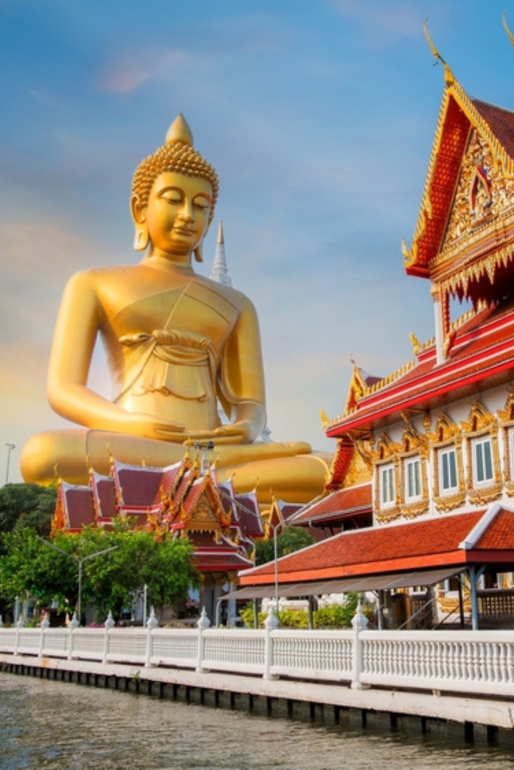 tourism hub(95)